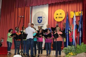 20 let MepZ DU MIrna, foto JSKD OI Trebnje (12)